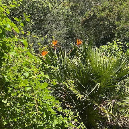 Charming Home, In A Mediterranean Garden Gassin