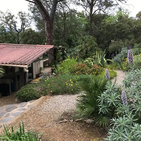 Charming Home, In A Mediterranean Garden Gassin